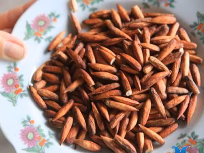 Tại đây, mứt hạt bàng có giá dao động từ 450.000-500.000 đồng/kg. Trái mùa, thời tiết khắc nghiệt, mứt hạt bàng có khi lên đến 500.000-600.000 đồng/kg vẫn không có đủ bán cho du khách.