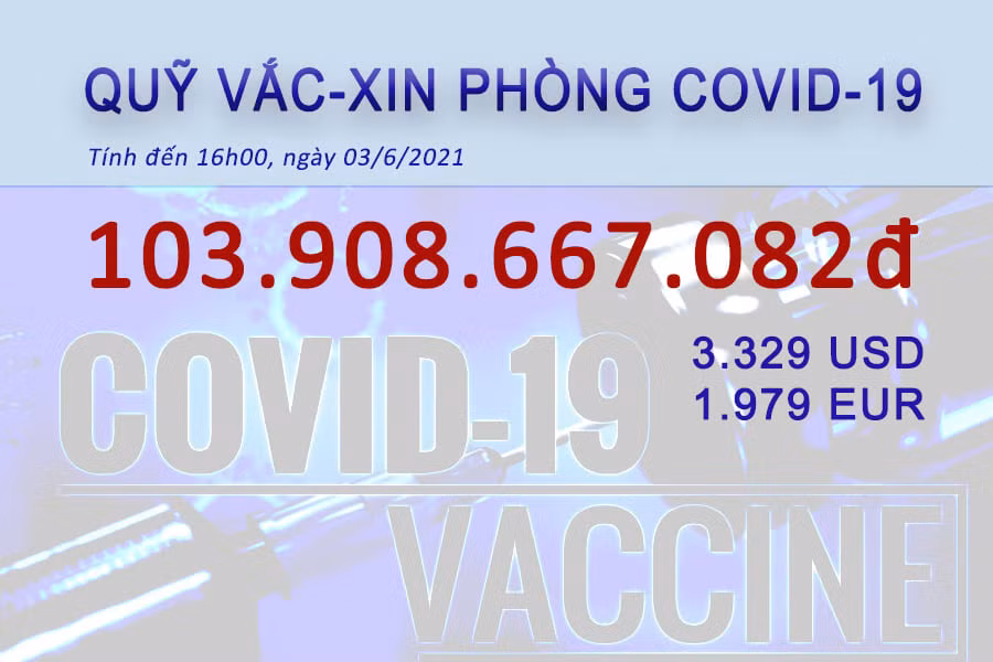 Da quyen gop duoc gan 104 ty dong mua vaccine COVID-19-Hinh-2