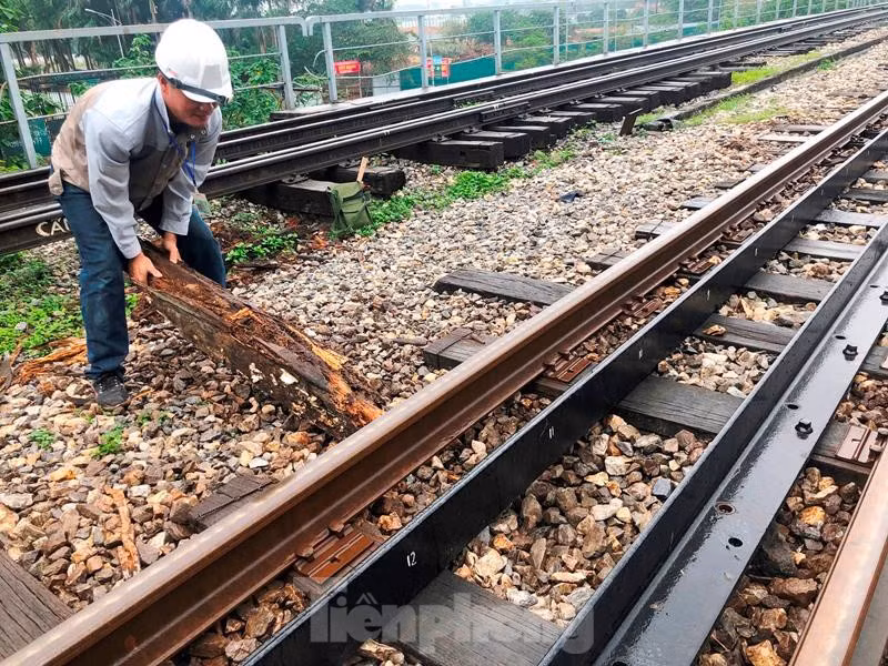 Thậm chí, nhiều thanh tà vẹt do mục ruỗng nhiều nên công nhân tuần đường ray đã phải kéo ra khỏi vị trí, bỏ đi để khỏi quấn vào chân (bánh) tàu.
