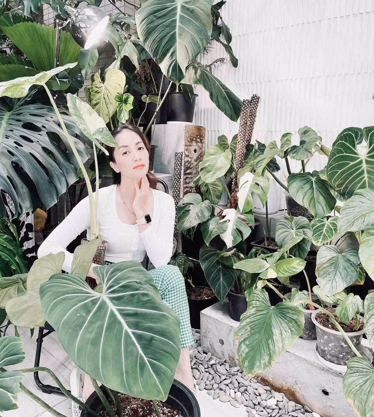 Khánh Thi - Phan Hiển trồng kiểng lá trên khu vực sân thượng, diện tích rộng rãi, nhiều ánh sáng tự nhiên. Ảnh: Thoidaiplus