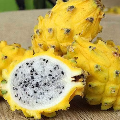 Trước đây, tThanh long vàng được xếp vào nhóm trái cây độc lạ nên giá cao hơn nhiều so với thanh long ruột trắng hay đỏ quen thuộc. Cách đây vài năm, thanh long vàng có giá từ 150.000 – 200.000 đồng/kg. Ảnh: E Food E Good