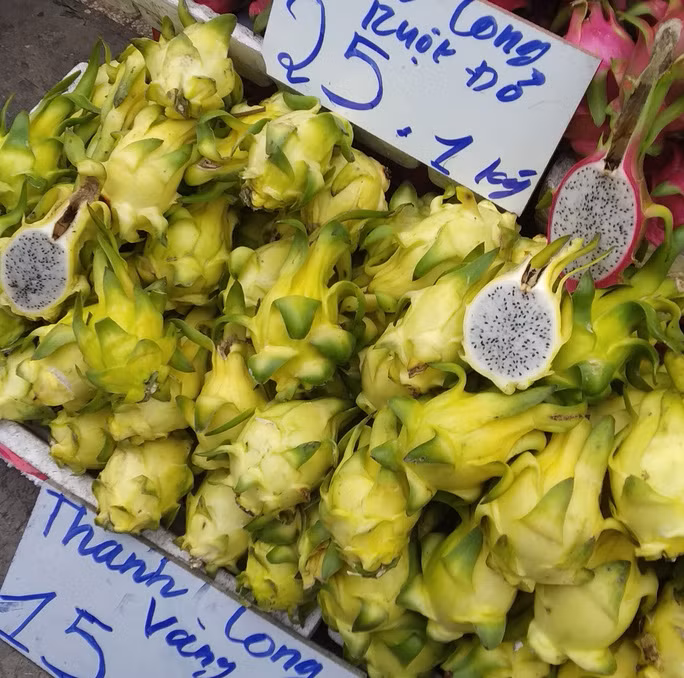 Tuy nhiên, từ năm ngoái đến nay, thanh long vàng liên tục phải xuống lề đường, bán xổ rẻ. Ảnh: Người lao động