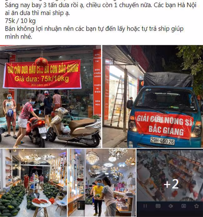 Những ngày gần đây, trên nhiều tuyến phố ở Hà Nội xuất hiện các điểm bán hoa quả sạch nhằm hỗ trộ người dân vùng dịch, tiêu biểu nhất là ở Bắc Giang. Ảnh: Giadinhnet