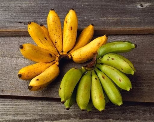 Vỏ chuối chín ép có màu vàng bắt mắt, mịn màng. Trong khi đó, chuối chín tự nhiên có vỏ vàng sẫm kèm theo đốm nhỏ màu đen hoặc màu nâu. Ảnh: Báo an ninh Hải Phòng.
