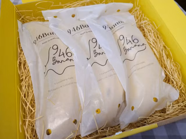Giá một quả chuối 946 là 1.080 Yen, tương đương 230.000 đồng, gấp 20 lần giá một quả chuối nhập khẩu trong các cửa hàng tạp hoá ở Nhật. Ảnh: Soranews24