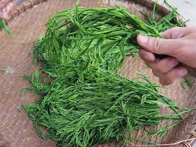 Khi xuất hiện ở nhiều tỉnh thành khác, rau thối có giá không hề rẻ, có thể lên tới 90.000 đồng/kg.