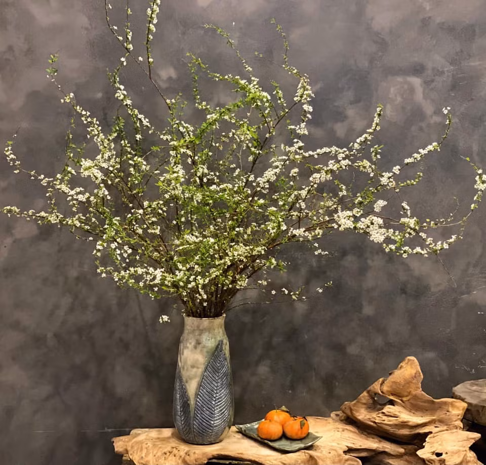 Tết năm nay, hoa tuyết mai nổi lên như một ngôi sao sáng trong dòng hoa nhập khẩu và được rất nhiều chị em lựa chọn mua.