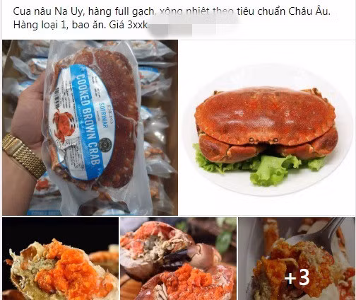 Cua nâu Na Uy vốn được coi là dòng hải sản cao cấp trên thế giới nhưng được rao bán với giá rẻ nên chị em nội trợ ồ ạt mua về ăn. Ảnh: Facebook