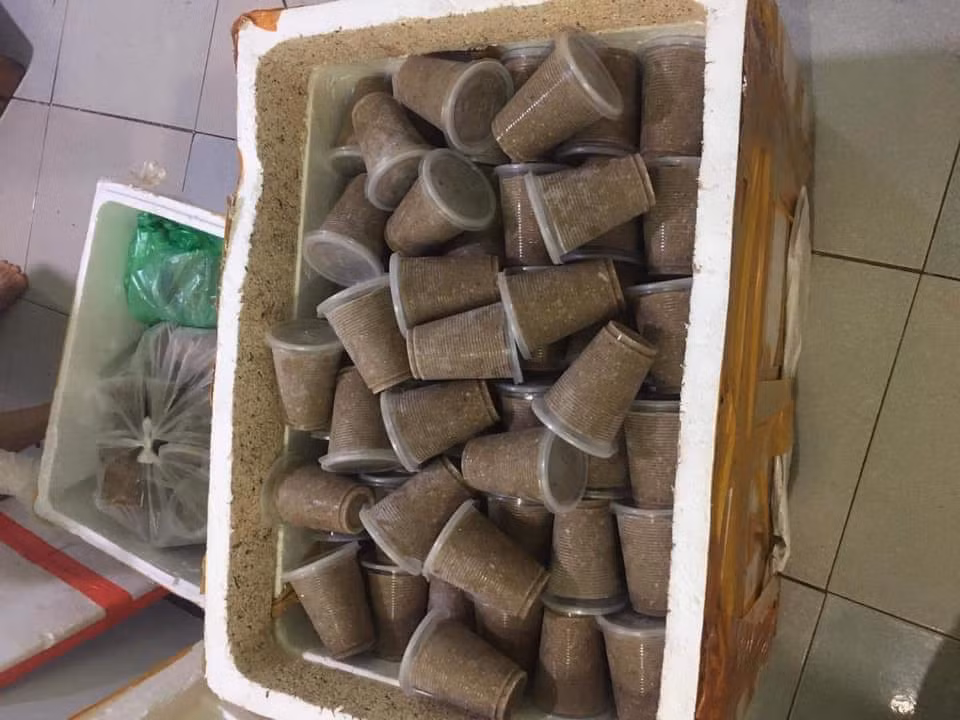 Mỗi kg cua đồng xay sẵn bao gồm 1 túi thịt cua giã nhỏ và 1 túi gạch cua, có giá từ 60.000 - 80.000 đồng/kg. Ảnh: Facebook