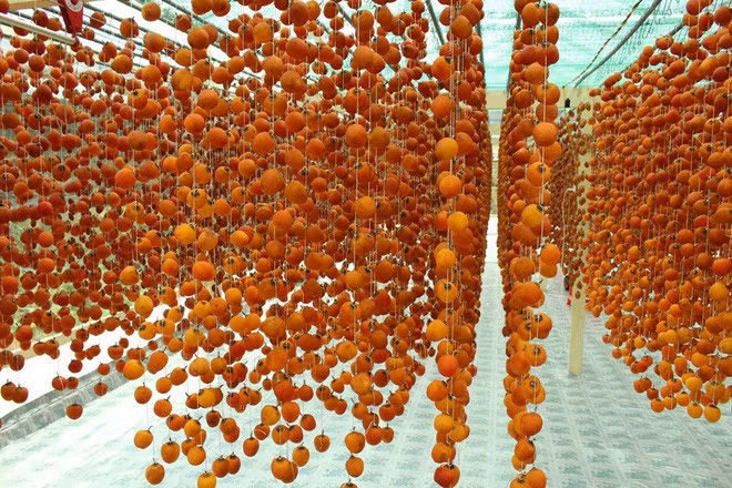Khi bề mặt quả hồng đã trở nên bết dính và bắt đầu săn chắc, người ta nhẹ nhàng xoa bóp quả hồng trong vài giây ít nhất một lần mỗi ngày để thịt quả mềm và dẻo.
