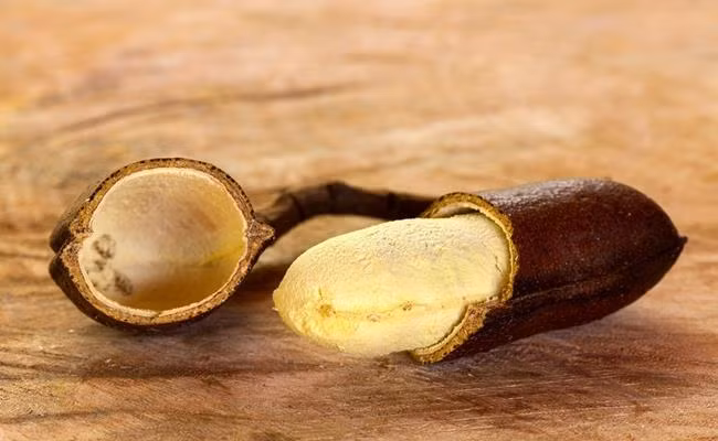 Tuy nhiên, Stinking Toe phải mất tới 8-12 năm mới ra quả nên có giá 32,94 Real Braxin (tương đương 149.000 đồng/kg).
