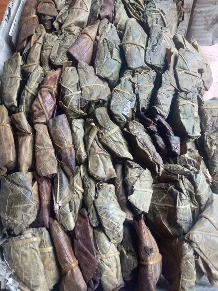 Chị Chiến (quê gốc ở Tuyên Quang) cho biết, cứ vào cuối tháng 2 đến đầu tháng 3 (Âm lịch), người dân các khu vực miền núi phía Bắc nước ta lại rủ nhau vào rừng kiếm trứng kiến.