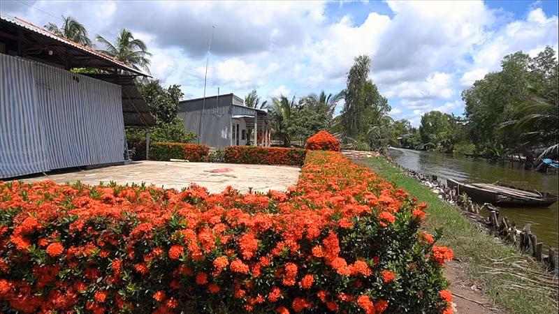 Đáng chú ý, hàng rào bằng hoa đặc biệt này đã gần 20 năm tuổi. Ảnh: Lao động.