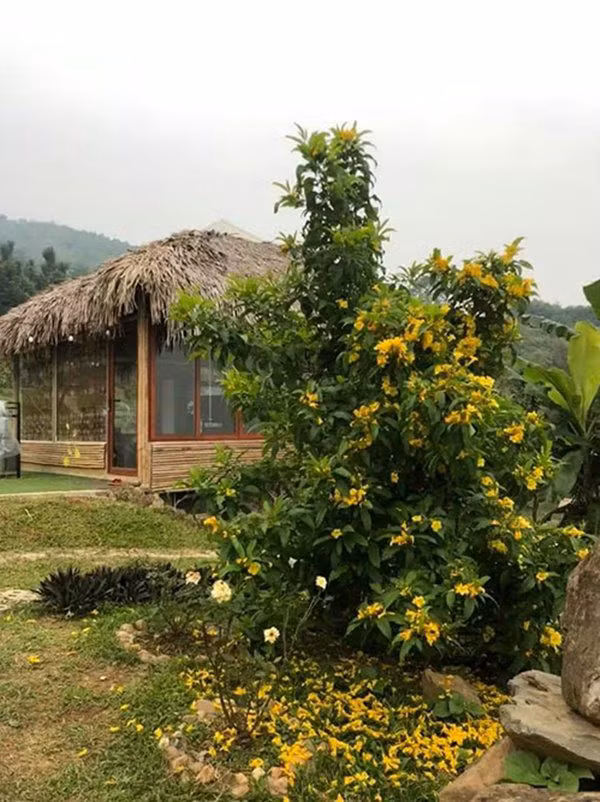 Để sở hữu trang trại như bây giờ, nghệ sĩ Việt Hoàn và vợ đã dành nhiều công sức để khai khẩn đất hoang cùng thợ. Ảnh: Thoidaiplus.
