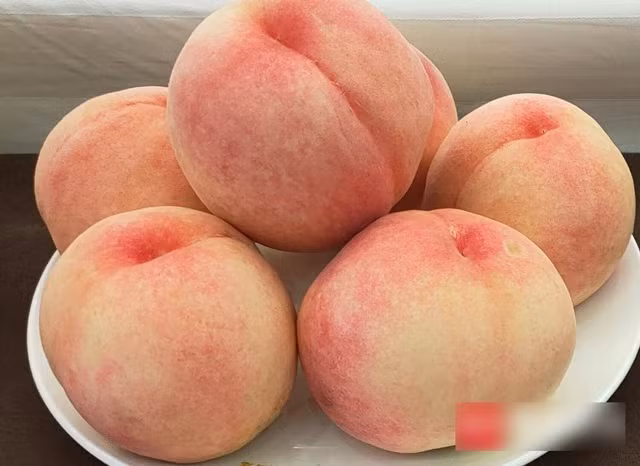 Tại Trung Quốc, loại đào này có giá lên tới 900.000 đồng/kg.