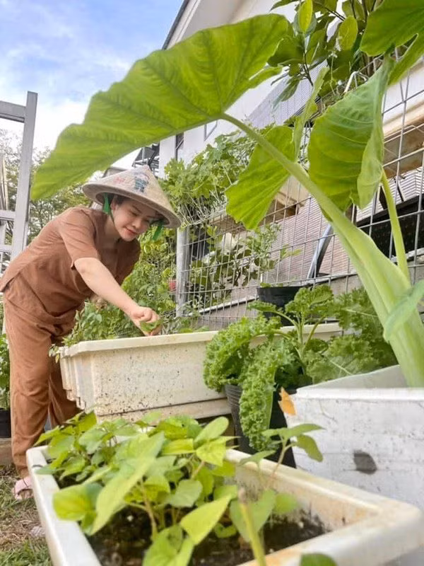 Nhờ bàn tay của cô, mọi cây trong vườn đều tươi tốt.