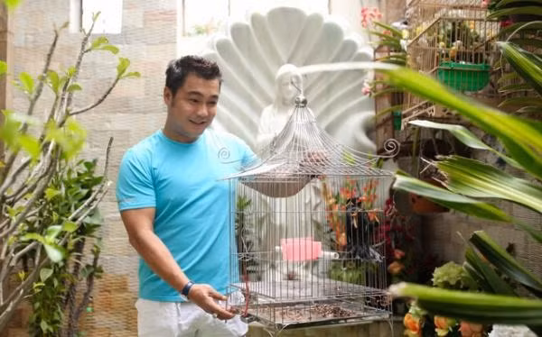 Ngoài cây xanh, Lý Hùng còn nuôi chim và cá trong biệt thự. Ảnh: Lao động