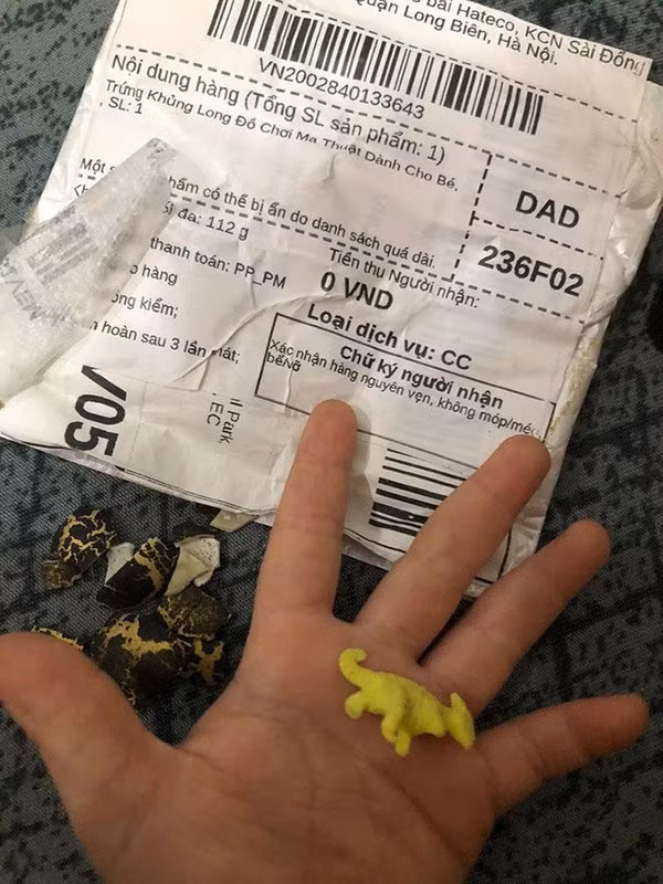 Một anh chàng đặt quả trứng khủng long đồ chơi cho cháu với giá 1.000 đồng. Tuy nhiên, anh ngao ngán khi nhận được thứ bé tẹo bằng ngón tay út. Nguồn ảnh: Facebook, Tiktok.