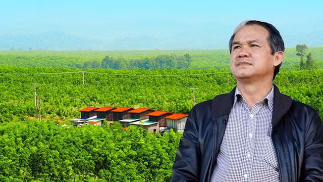 Ngoai CEO Asanzo, con dai gia BDS, vua “Thep”... re tay ngang lam nong?-Hinh-2