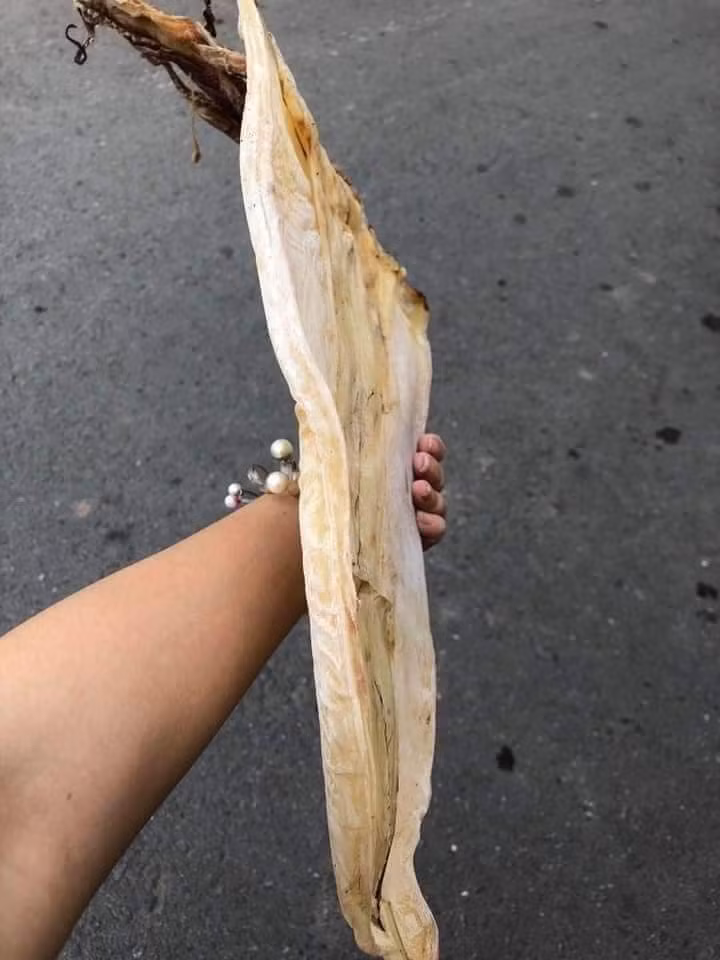 Thông thường, những người phơi mực xà chỉ chọn những con từ 2-3kg/con rồi mang đi lột da, xẻ đôi và ngâm, tẩm, tẩy trắng cho hết mùi khai rồi mới mang phơi. Vì vậy, mực khô nhìn trắng, đẹp, không khác gì mực lá.