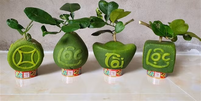 Bên cạnh đó, bưởi thỏi vàng, bưởi vuông có chữ tài, lộc cũng được nhiều khách hàng quan tâm. Ảnh: VTCnews