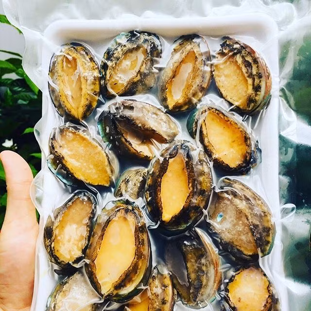 Ông Trường khẳng định, bào ngư mà nhiều cửa hàng online rao bán với giá rẻ, chỉ vài trăm nghìn/kg là hàng đông lạnh hoặc hàng nhập lậu từ Trung Quốc.