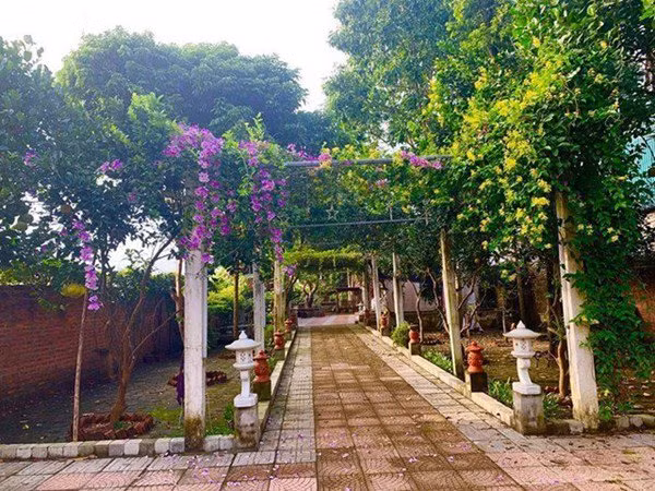 Lối đi từ cổng vào khuôn viên được phủ bởi một màu xanh mướt mát của cây cối. Ảnh: Vietnamnet.