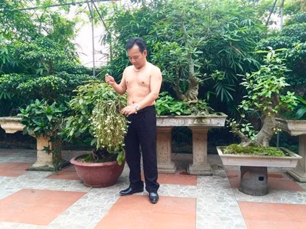 Tại đây, nghệ sĩ Tiến Quang trồng nhiều cây cảnh, cây ăn quả. Ảnh: Vietnamnet.
