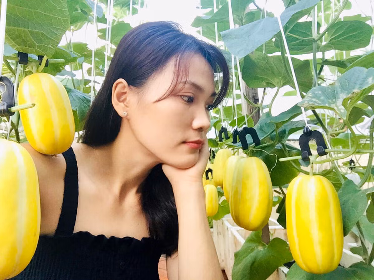Ban đầu, chị không có kinh nghiệm trồng trọt nên rau quả còi cọc, sâu bệnh. Sau này, chị nghiêm túc tìm hiểu kĩ cách trồng, chăm sóc, phòng bệnh và học hỏi kinh nghiệm chăm cây từ mọi người.