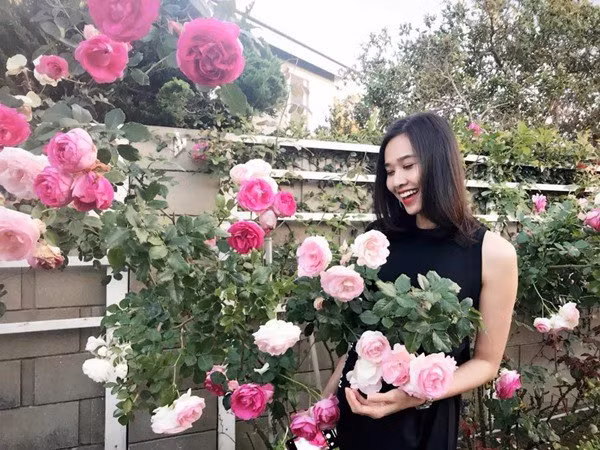 Để có được giàn hoa hồng như trong sân vườn nhà Dương Mỹ Linh cần khá nhiều công sức và thời gian.
