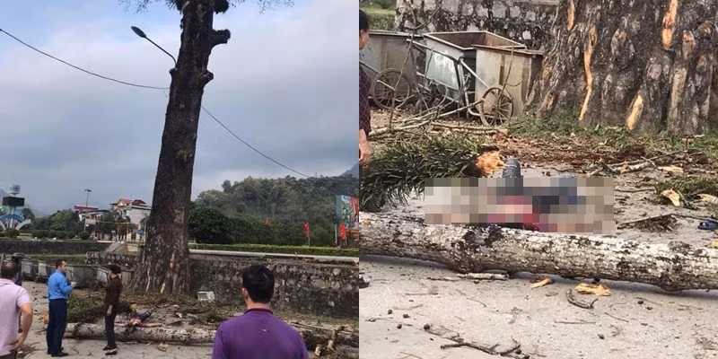 Dang di bo tren duong, nam thanh nien bi canh cay roi trung dau tu vong