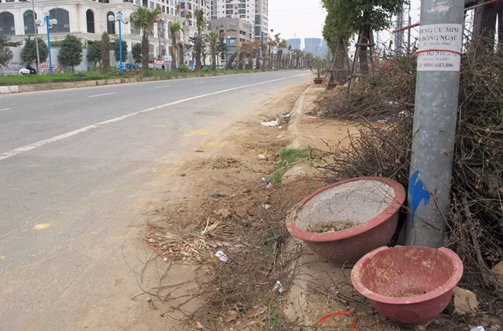 Con đường luôn trong tình trạng tràn ngập rác thải như chậu cảnh vỡ vụn, cành cây bủa vây. "Chúng tôi chả thấy cơ quan chức năng dọn dẹp gì. Đường mới làm nhưng giống như kiểu bị bỏ quên", - anh Hải (người dân) ngán ngẩm chia sẻ.