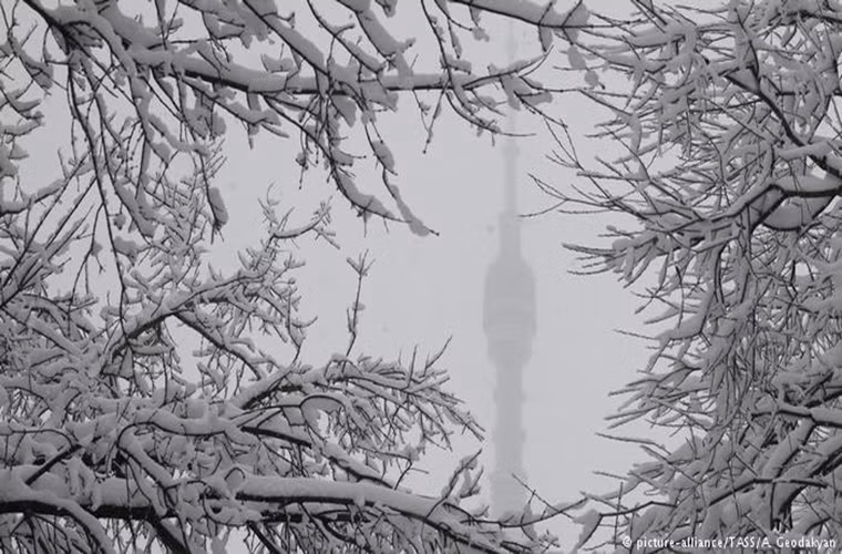 Cảnh cây cối “đóng băng” trong cái lạnh kỷ lục ở Moscow. Ảnh: DW.