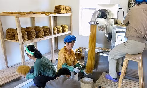Các công nhân đang làm việc trong nhà máy sản xuất mì ở đất nước Triều Tiên. 