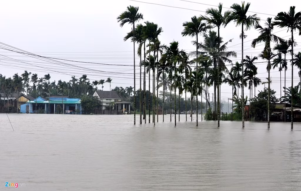 Lũ lớn cũng gây ngập lụt trên diện rộng tại huyện Nghĩa Hành. Ông Phan Bình, Bí thư huyện ủy kiêm Chủ tịch UBND huyện Nghĩa Hành, cho hay lũ lớn gây ngập sâu nhiều khu dân cư, có nơi ngập hơn 2 m. "Khoảng 17h chiều nay, nước xiết cuốn ba người đi cùng xe máy, hai người may mắn được cứu sống, một người bị trôi mất tích", ông Bình nói.