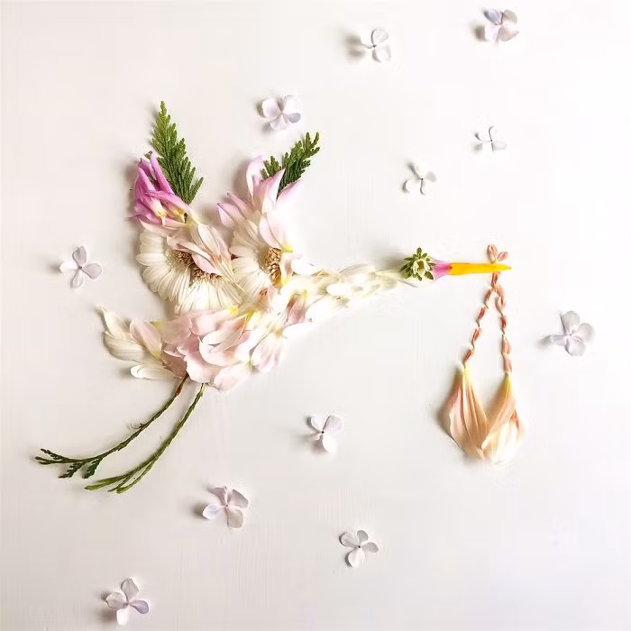 Mỗi khi nhắc đến nghệ sĩ hoa và thực vật, Bridget Collins luôn là cái tên được tìm kiếm nhiều nhất. (Nguồn Bored Panda)