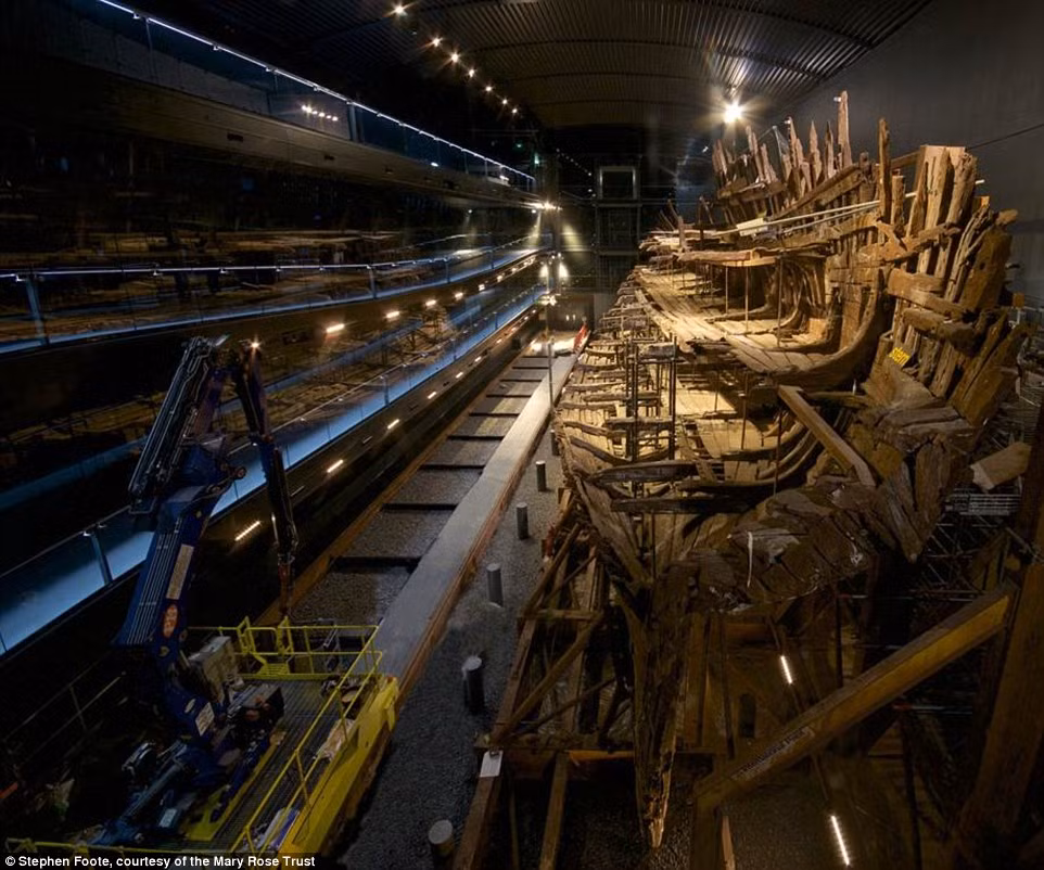 Sử gia David Starkey cho biết: "Đây là lần đầu tiên chúng ta có thể thực sự nhìn thấy con tàu Mary Rose. Nó đã được trục vớt từ những năm 1980 nhưng sau đó nó được các chuyên gia lưu giữ, bảo tồn để tránh bị hư hại".