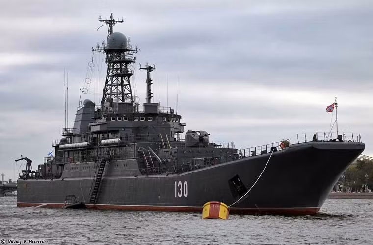 Các tinh hoa "tàu há mồm" Hạm đội Baltic đều nằm ở Lữ đoàn tàu 71 (Sư đoàn tàu mặt nước 12) gồm 4 tàu đổ bộ lớp Ropucha và 2 tàu đổ bộ đệm khí lớp Zubr. Dù Zubr có tính năng độc đáo hơn, nhưng nói khả năng chuyên chở, tầm hoạt động thì Ropucha mới là chủ lực đổ bộ đường biển của Hạm đội Baltic, Hải quân Nga. Trong ảnh là một trong bốn tàu đổ bộ Ropucha của Hạm đội Baltic mang tên Korolev (130).
