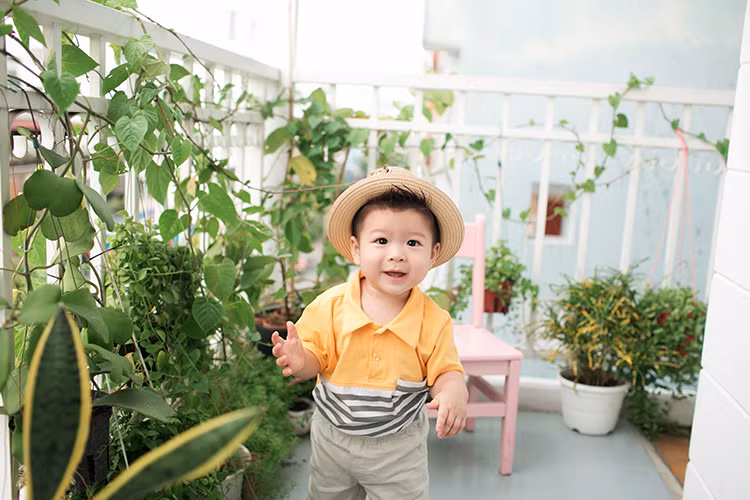 Cậu nhóc thường xuyên được bố mua tặng cho những chiếc xe hơi đồ chơi. 