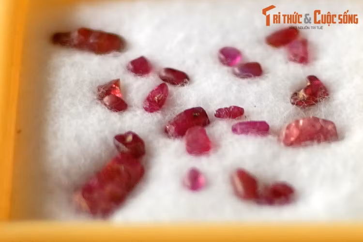 Mẫu hồng ngọc (ruby) thu thập ở Lục Yên, Yên Bái. Đây là một loại đá quý thuộc về loại khoáng chất corundum. Chỉ có những corundum màu đỏ mới được gọi là hồng ngọc, các loại corundum khác được gọi là sapphire (xaphia).