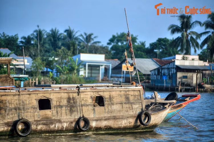 Đầu mỗi ghe thuyền có một sào tre gọi là cây bẹo, treo loại nông sản được bán, một kiểu “bảng hiệu” truyền thống quen thuộc ở các khu chợ nổi miền Tây.