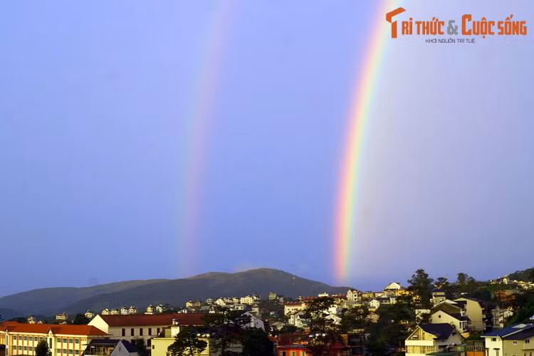 Bản chất của cầu vồng là khi tia sáng mặt trời gặp những giọt nước trong không khí, chúng sẽ bị bẻ cong (khúc xạ) hoặc dội ngược trở lại (phản xạ). Trong quá trình đó ánh sáng bị tán xạ thành 7 màu cơ bản.
