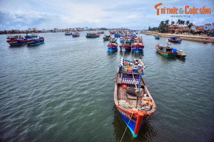 Những chuyến đò của Mẹ Suốt cũng là đường dây thông tin liên lạc giữa thị xã Đồng Hới với xã đảo Bảo Ninh. Dưới làn mưa bom bão đạn của kẻ thù, Mẹ cùng con đò ngang thô sơ đã đưa đón hàng vạn lượt cán bộ, bộ đội, nhân dân qua lại đôi bờ Nhật Lệ.