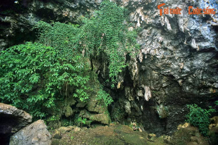 Tên trưởng bản vốn để ý Lài từ lâu nhưng bị cự tuyệt, nay nhân cơ hội ép gả Lài cho hắn. Lài buồn bã, khóc đến không còn nước mắt. Chàng trai nghèo cũng không muốn xa người yêu, quyết định cùng nàng bỏ trốn vào trong núi.