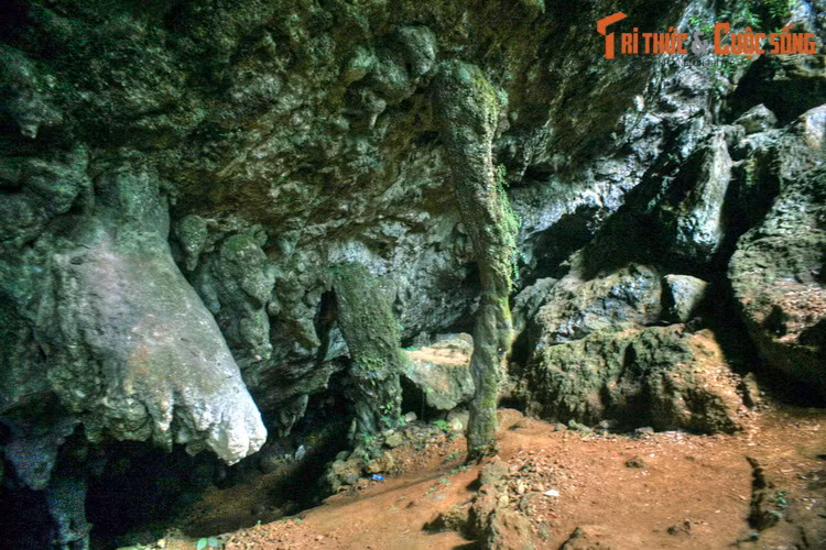 Và nàng Lài có thể là một khối thạch nhũ, măng đá nào đó trong hang động, mọi người vô tình bước qua mà không ai hay...