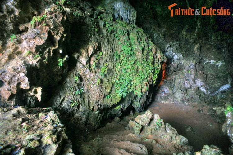 Rồi tai họa bất ngờ ập đến, phủ bóng đen lên mối tình đang nồng cháy. Một trận lũ ập đến cuối trôi tất cả mọi thứ trong bản. Cha mẹ Lài vì cái đói mà phải nhận gùi thóc, chăn trâu cho trưởng bản độc ác.
