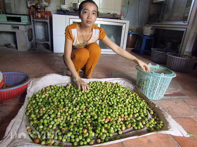 Ve “vuong quoc” so ri: Do do, xanh xanh, nhanh nhanh hot bac-Hinh-2