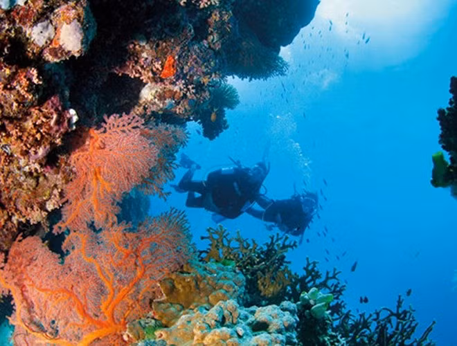 Rạn san hô Great Barrier Reef (Australia): Là rạn san hô lớn nhất thế giới, bao phủ một vùng với diện tích lên đến 380.000 km2, bao gồm khoảng 3.000 tảng đá ngầm và 900 hòn đảo.