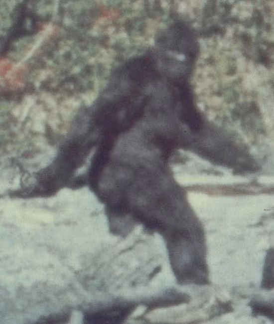8. Quái vật chân to Bigfoot được miêu tả là những con thú đồ sộ trông như con người với cơ thể phủ đầy lông và bàn chân cực lớn. Nhưng cũng giống như quái vật hồ Loch Ness, cho đến nay, vẫn chưa có bằng chứng nào thuyết phục về việc tồn tại thực sự của quái vật chân to này.