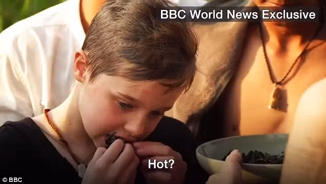 Shiloh thưởng thức món côn trùng mà mẹ Jolie chuẩn bị cho mình. (Ảnh: BBC)
